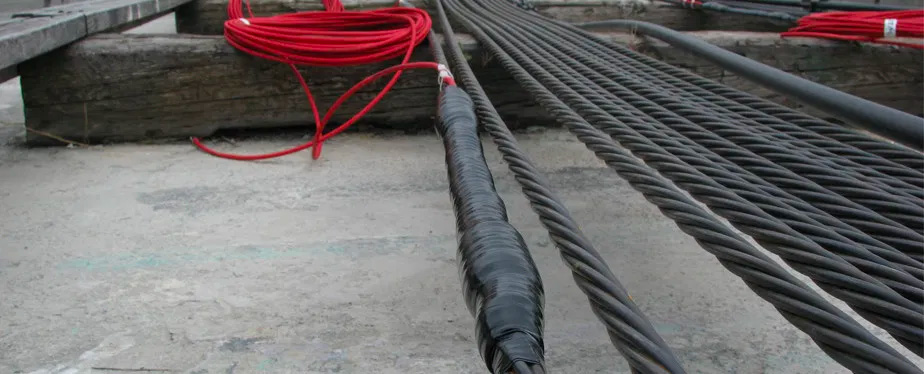 image column 1 widget_1621932716104