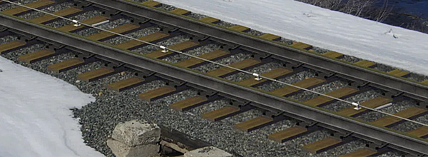 image column 6 widget_1618468389295